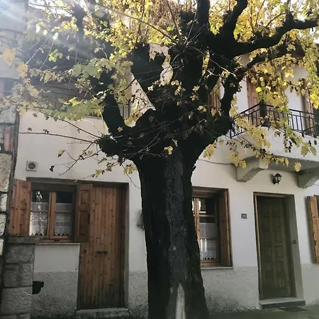 Theo Traditional House Villa